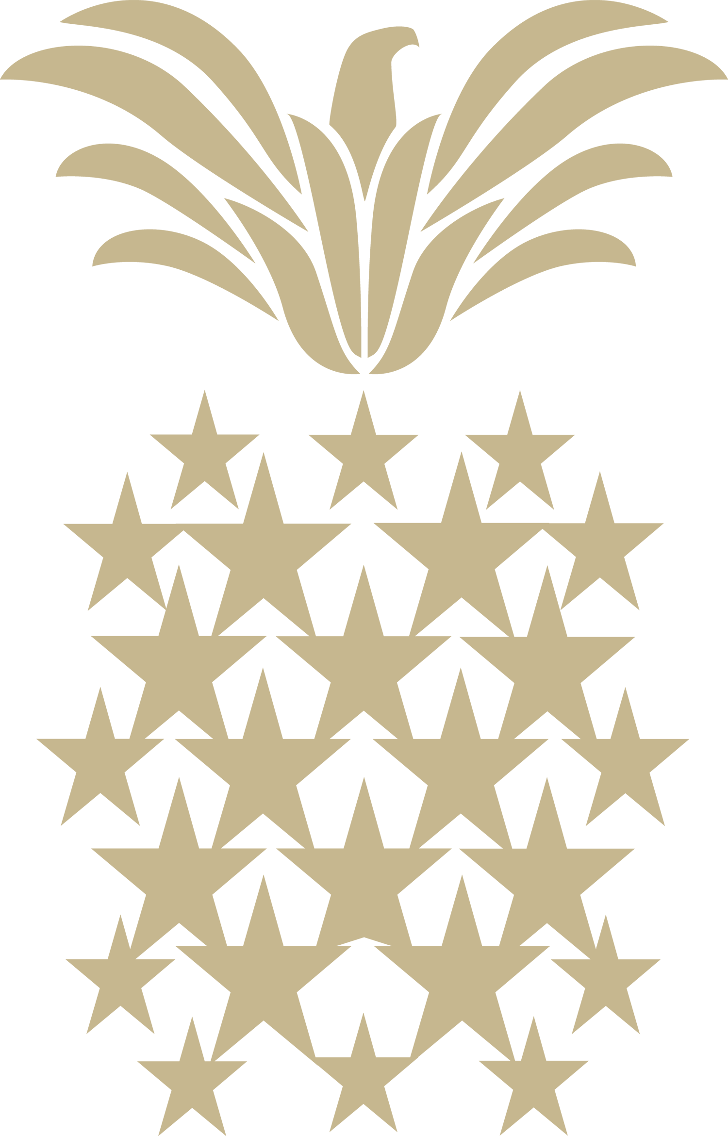 pineapple made of star shapes